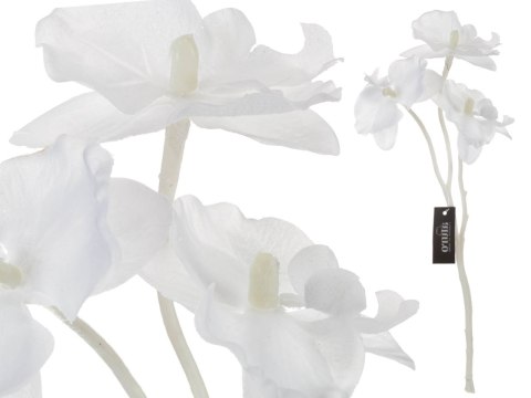 Roślina szt.-gałązka białej orchidei_Aluro Roślina szt.-gałązka białej orchidei_Aluro