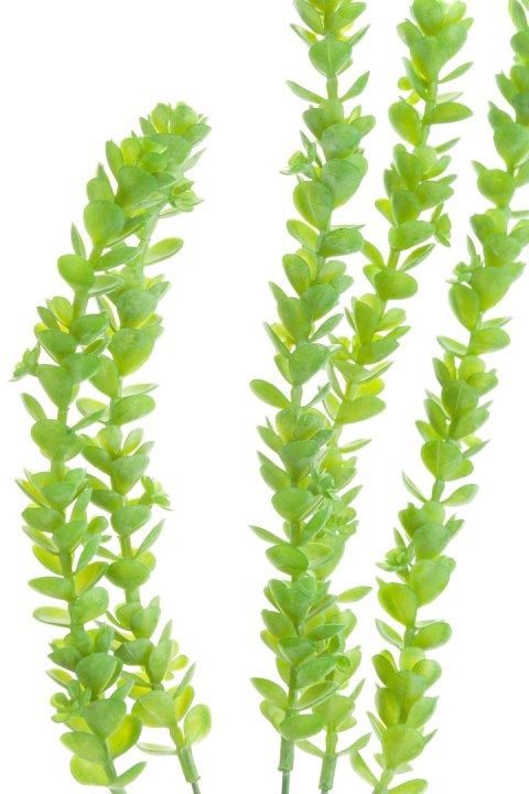 Roślina sztuczna - sedum zwisające_Aluro Roślina sztuczna - sedum zwisające_Aluro