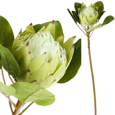 Roślina sztuczna- protea zielona_Aluro Roślina sztuczna- protea zielona_Aluro